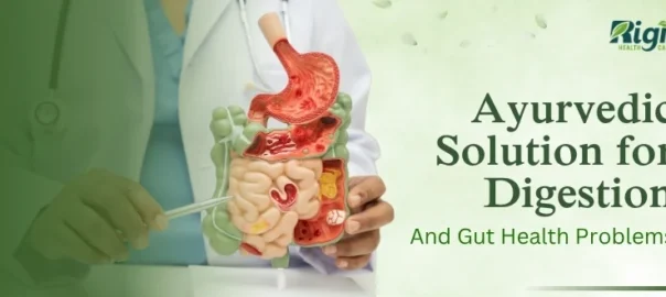 Ayurvedic Solution for Digestion and Gut Health Problems