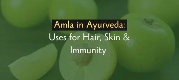 amla in ayurveda