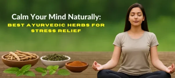 Calm Your Mind Naturally: Best Ayurvedic Herbs for Stress