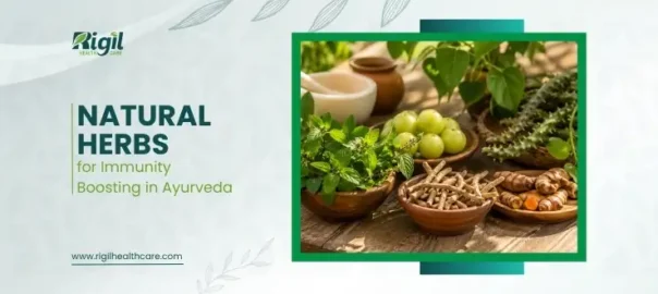 natural herbs for immunity boosting
