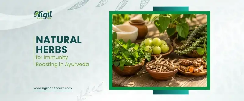 Natural Herbs for Immunity Boosting in Ayurveda